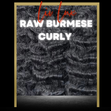 LIV LUX RAW BURMESE CURLY (3 BUNDLES)