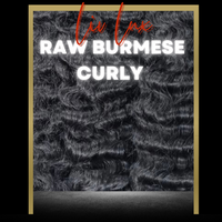 LIV LUX RAW BURMESE CURLY (3 BUNDLES)